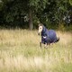 image 3 of LeMieux Kudos Turnout Rug 100g Blue | 5ft 6