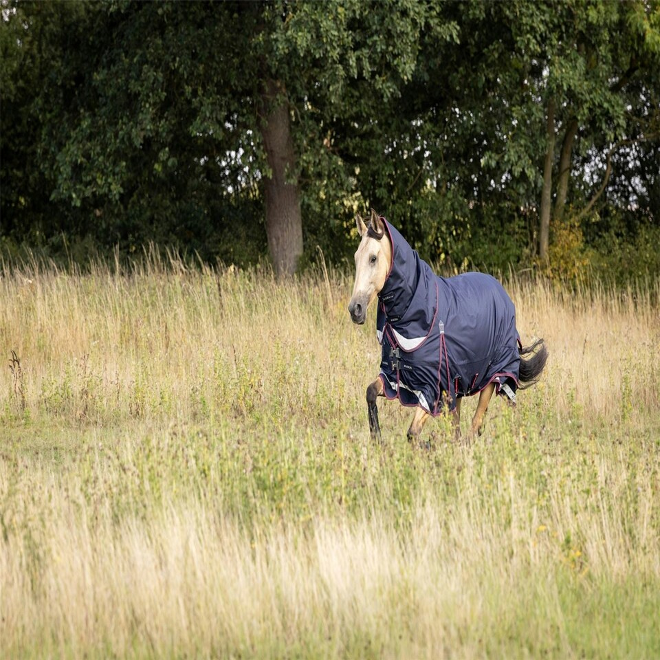 image 1 of LeMieux Kudos Turnout Rug 100g Blue | 5ft 6