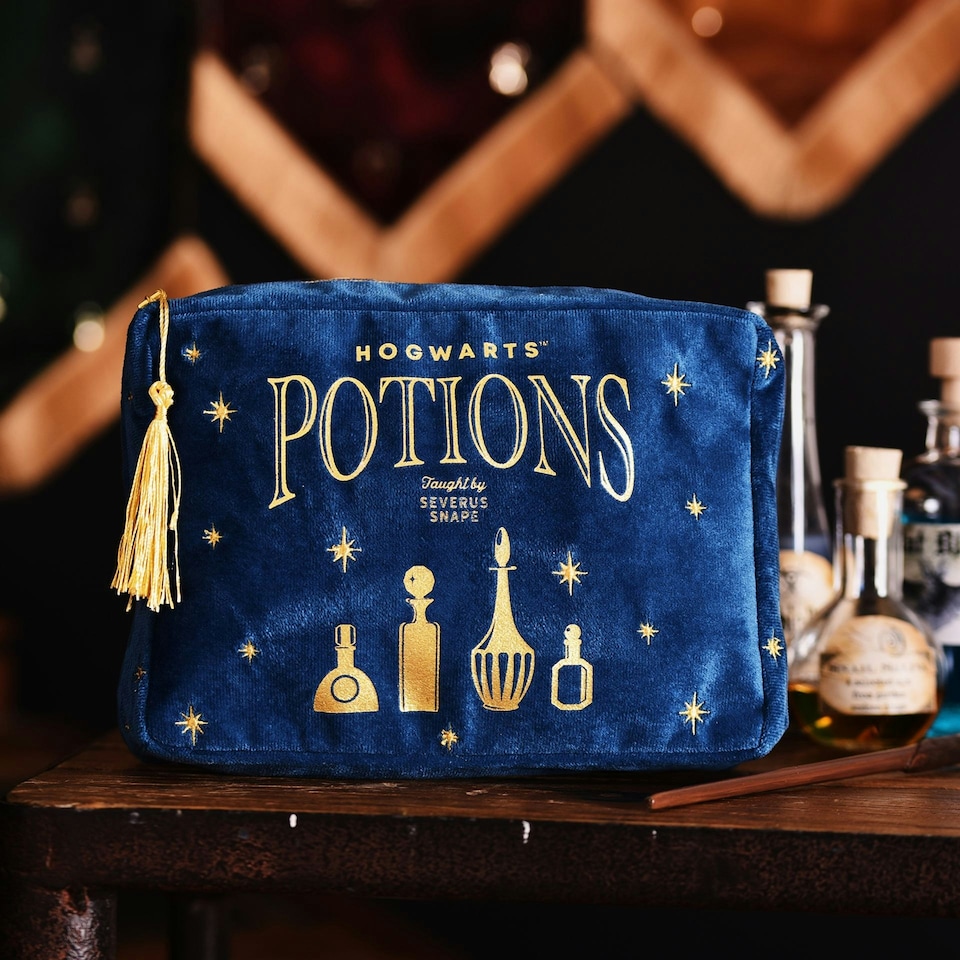 image 1 of Warner Bros Harry Potter Alumni Wash Bag Potions