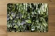 image 2 of Trend biophilic design. Wall from plants, vertical garden,urban jungle, modern interior decoration (Placemat & Coaster Set)