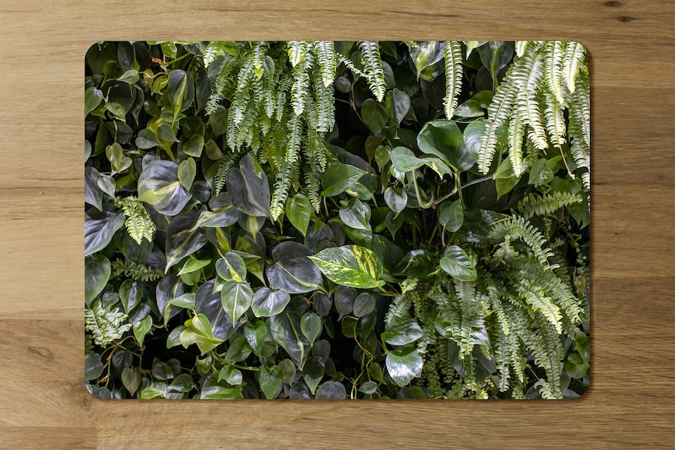 image 1 of Trend biophilic design. Wall from plants, vertical garden,urban jungle, modern interior decoration (Placemat & Coaster Set)