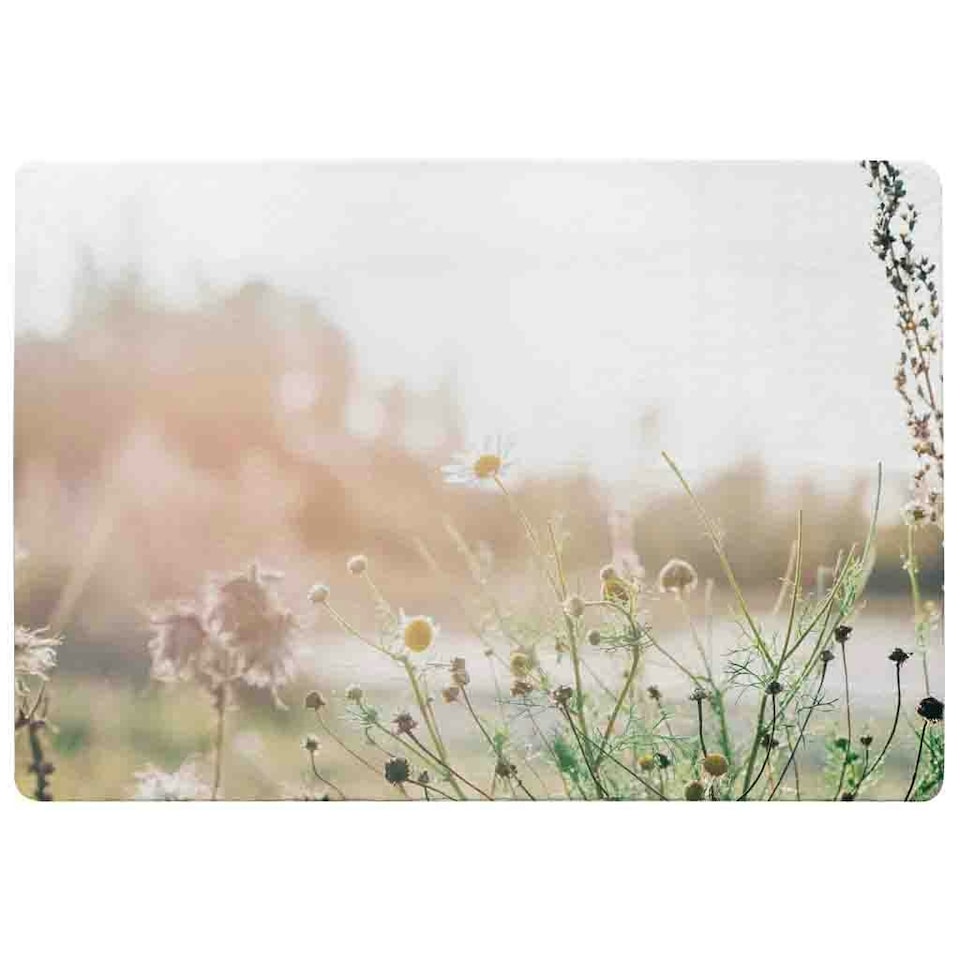 image 1 of Wild Daisies Rug White / L