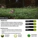 image 2 of Pegdev Wildlife Grass Seed Versatile Resilient Blend for Lush Gardens 100g
