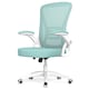 image 1 of Rattantree Ergonomic Office Chair with Flip Up Armrests & Lumbar Support