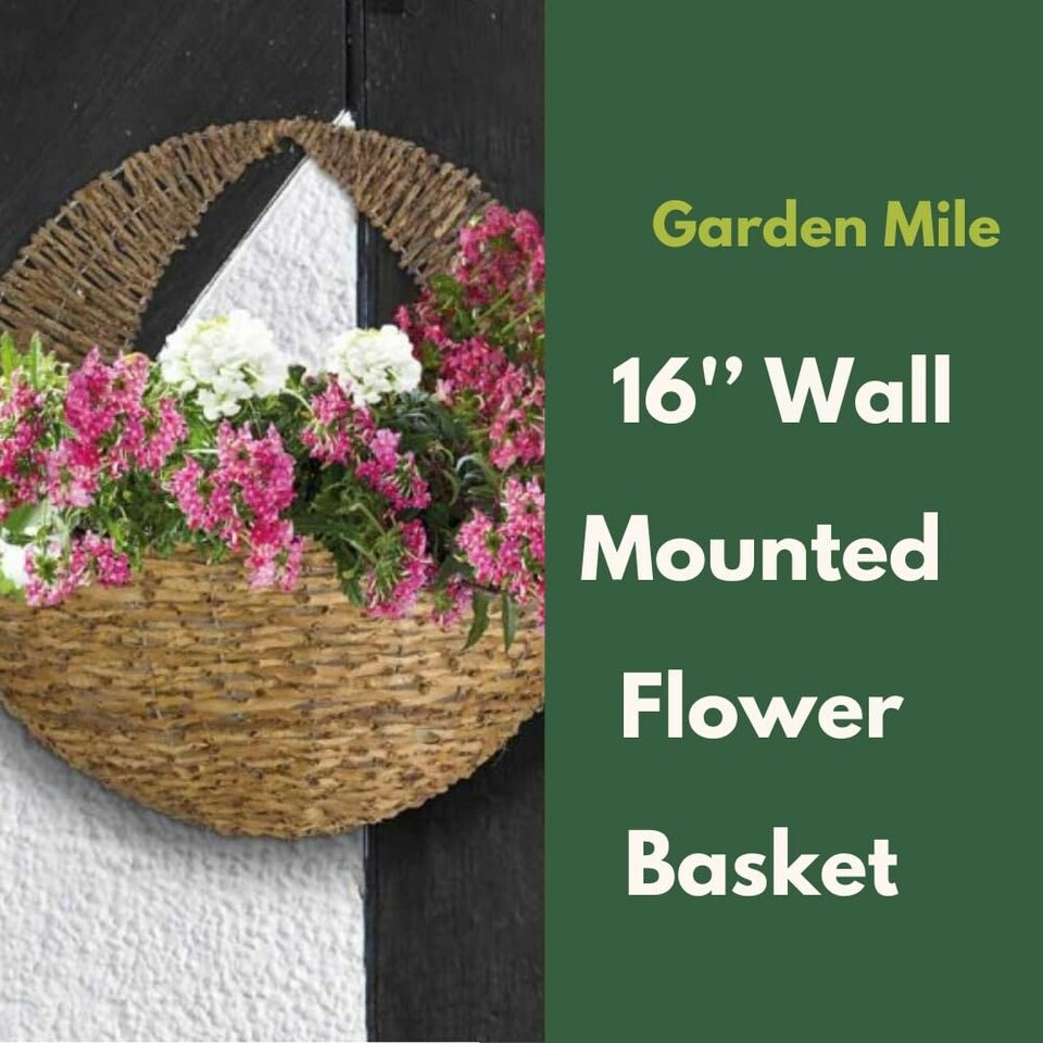 image 1 of Marco Paul Brown Rattan Wall Mounted Planter 16" Brown
