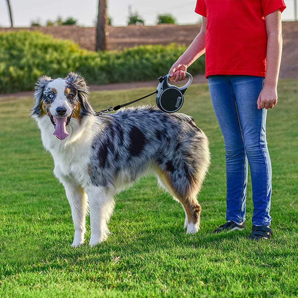 image 1 of KONG Terrain Retractable Dog Lead 5m Red Small