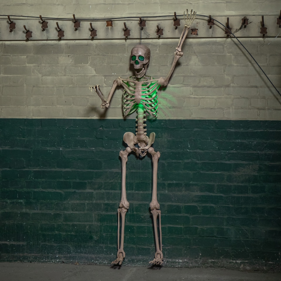 image 1 of 5ft (152cm) Battery Powered Light up Halloween Skeleton with Poseable Joints & Green LEDs
