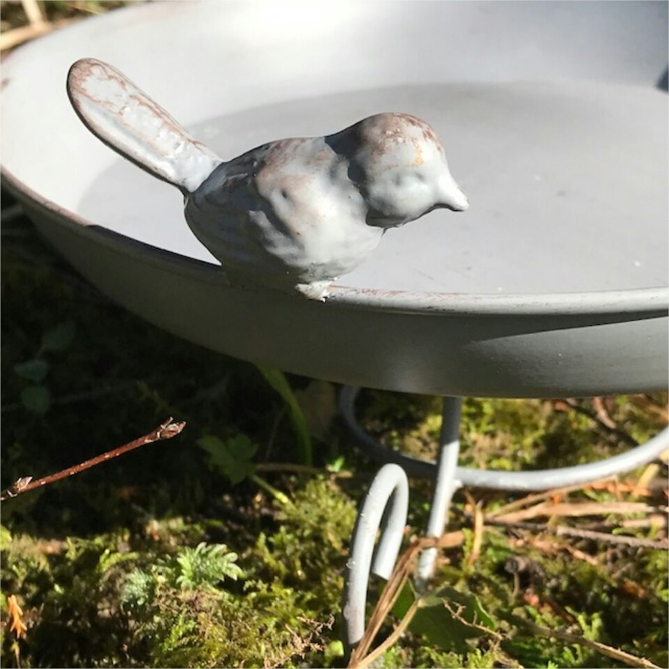 image 1 of Metal Bird Bath or Feeder for garden birds or wildlife, 22cm diameter