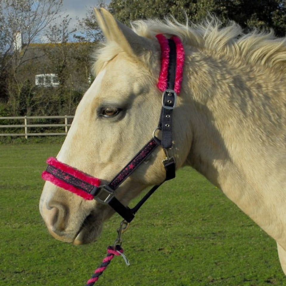 image 1 of Rhinegold Crystal Star Headcollar & Rope Set Green | Size: Full
Colour: Navy/Green
