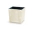 Cream & Set of 1