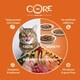 image 4 of Wellness CORE Cat Wet Adult Signature Selects Flaked Multipack 8 x 79g