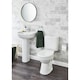image 3 of Premium OPEN BACK Toilet Set (Islington)  - Cistern - Soft Close Seat - Includes Chrome Flush Button