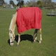 image 3 of Rhinegold Torrent Outdoor Rug N/A | Colour: Star
Size: 5ft 9