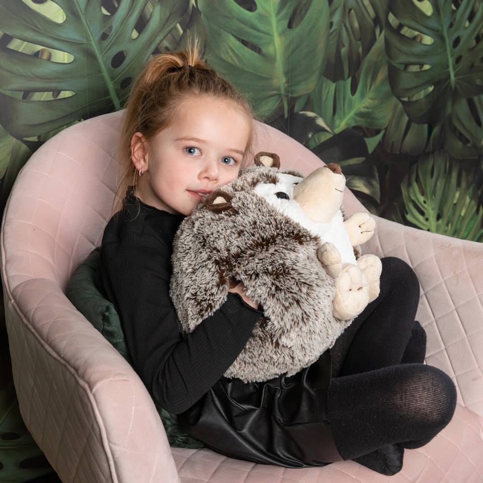 image 1 of Noxxiez Plush Hand Warmer Cushion - Hedgehog
