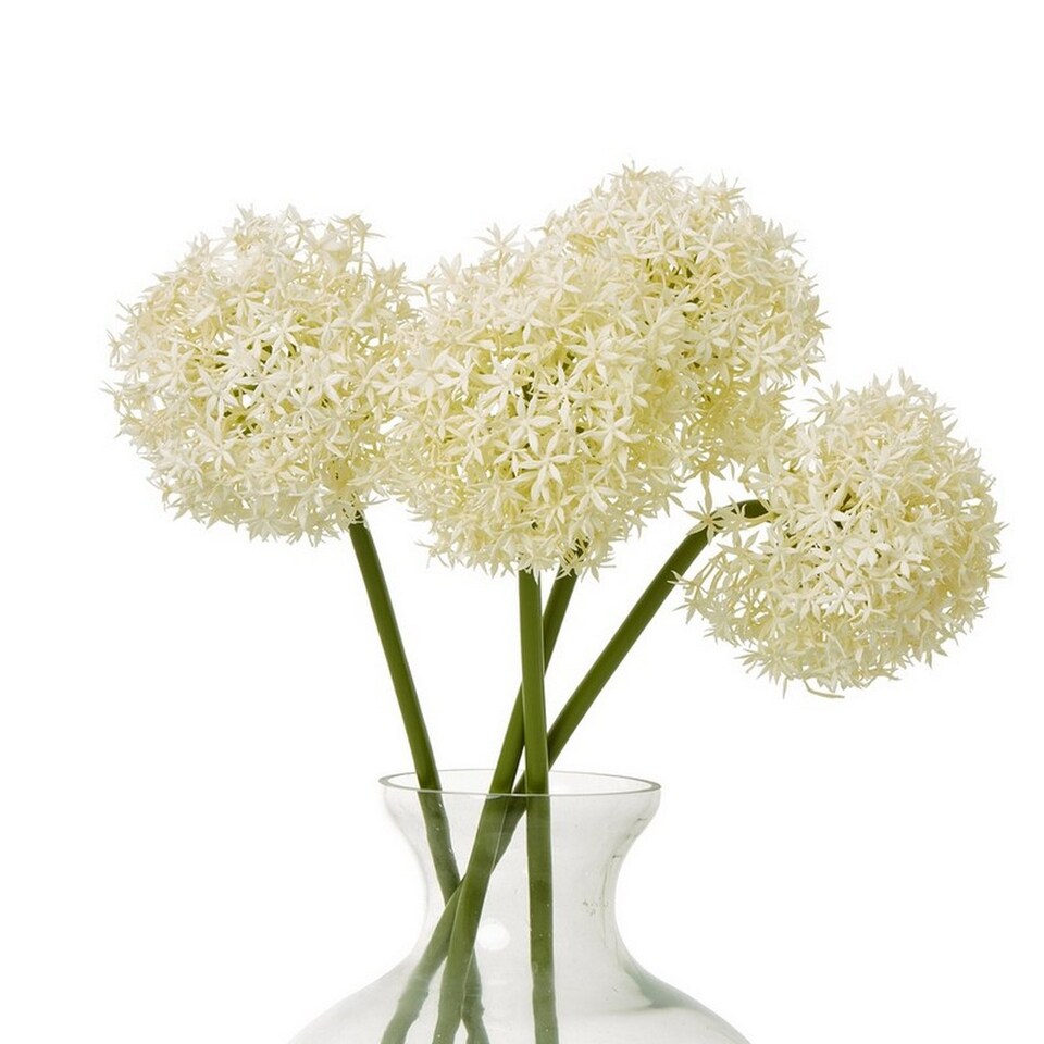 image 1 of Medium Allium (Single Stem Flower) - Plastic - L16 x W16 x H80 cm - Cream