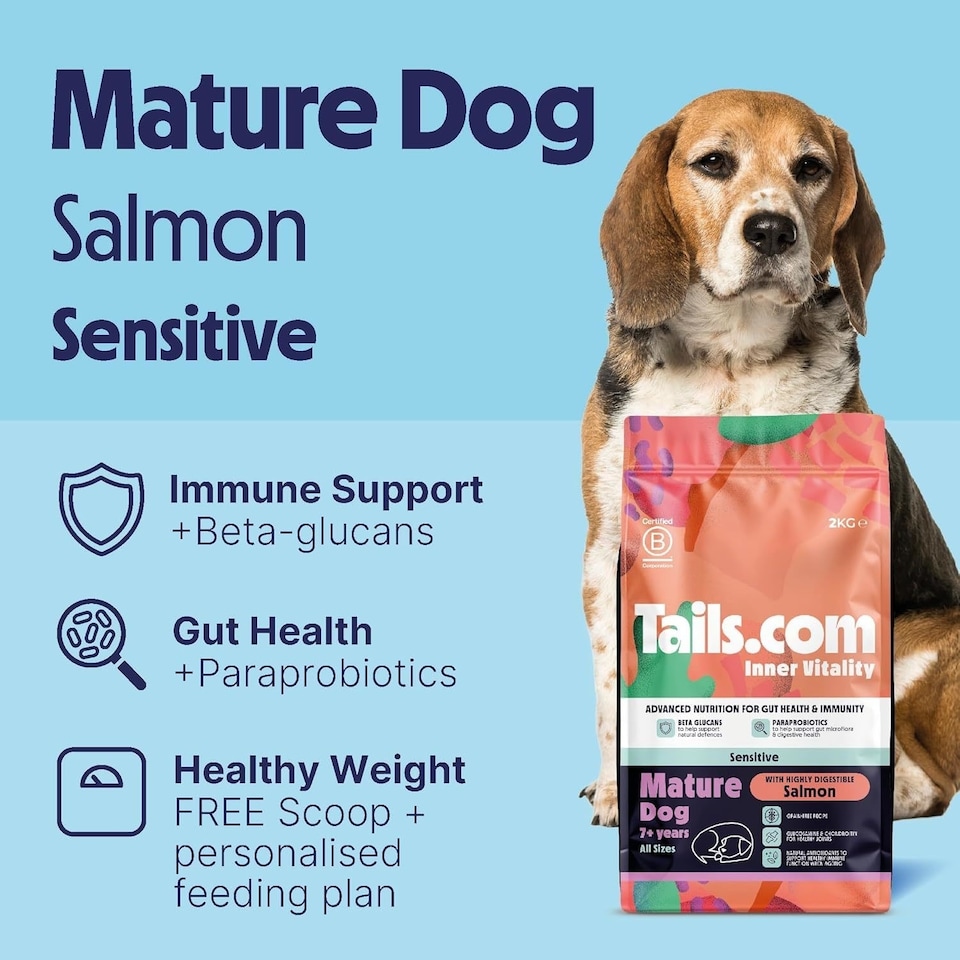 image 1 of Tails.com Inner Vitality Dry Dog Food Mature Sensitive Salmon 4 x 2kg