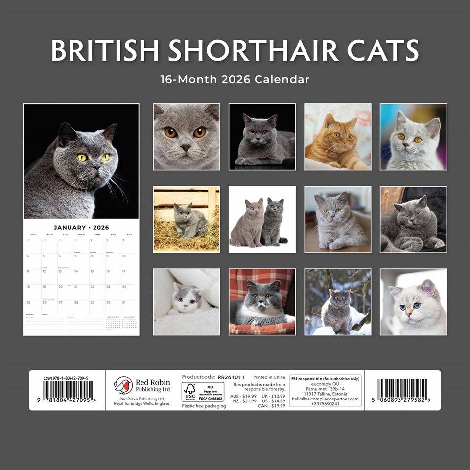 image 1 of Just British Shorthair Cats Calendar 2026, Wall Calendars, Month To View, Cats, Gift