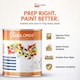 image 3 of Landlords Paint - Wall Primer Sealer - 5L