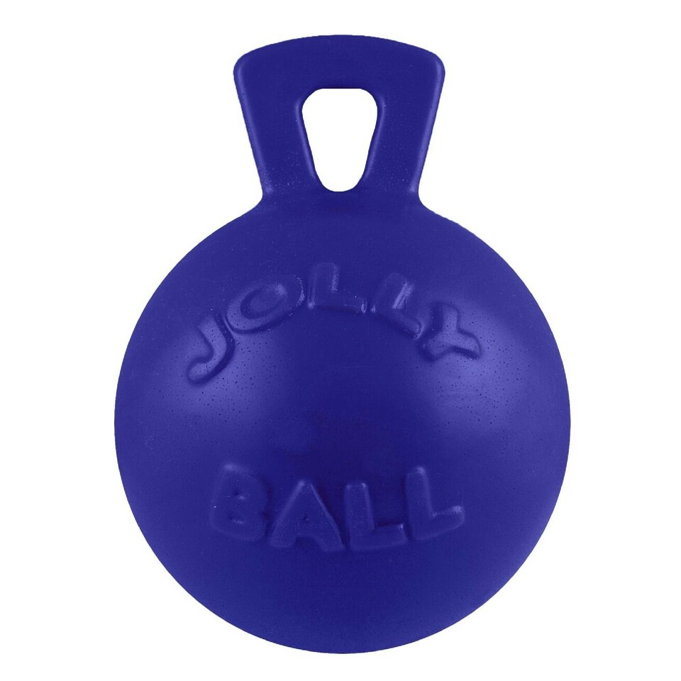 Jolly Pets Tug-n-Toss Dog Toy - Blue - 6 inches