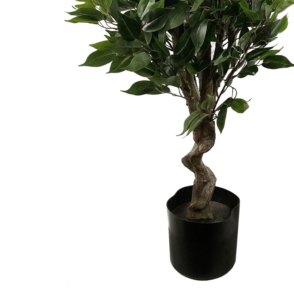image 1 of Artificial 110cm Evergreen Twist Ficus Tree Multicolour Planter | Green | 3ft
