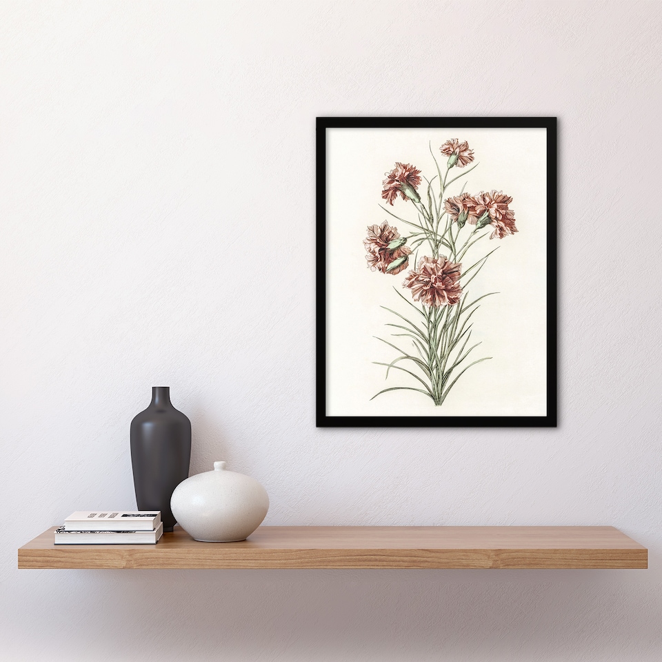 image 1 of Six Carnations Vintage Illustration Teyler Framed Wall Art Print 12X16"