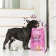 image 3 of Edgard & Cooper Adult Dry Dog Food - (Venison & Duck,2.5kg), Grain & Gluten Free, Hypoallergenic, Natural Ingredients & fresh meat (Packing May Vary)