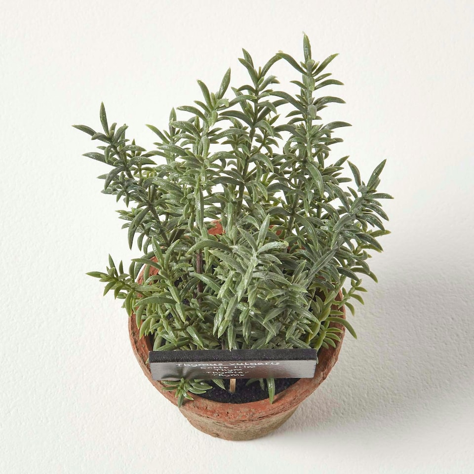image 1 of Homescapes Artificial Thyme Plant in Decorative Pot