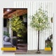 image 7 of HOMCOM 6ft Olive Tree Light with 300 Warm White LED Lights, Artificial Tree for Indoor, Party, Wedding, Christmas, Home Decoration, Green