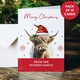 image 2 of Personalised Highland Cow Pack of 10 Christmas Cards