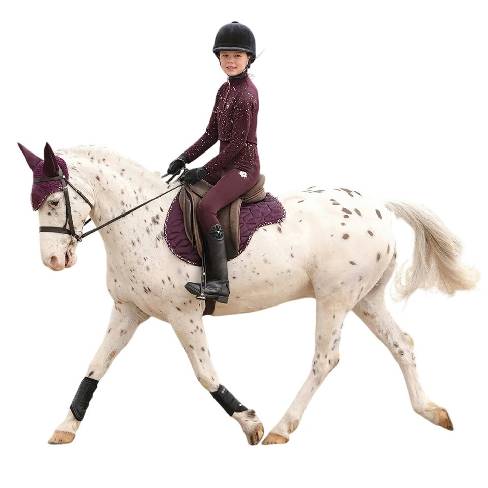 image 1 of Hy Enchanted Collection Horse Fly Veil - Plum/Rose Gold - Cob/Full