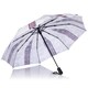 image 3 of Storm King Folding Umbrella Automatic Opening London City Multi