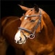 image 2 of LeMieux Arika Dressage Bridle Black | Cob
