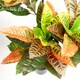 image 4 of 140cm Artificial Codiaeum Tree with 179 Leaves | Green | 4ft