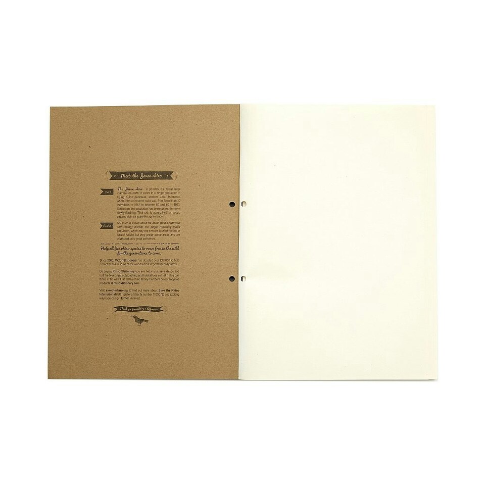 image 1 of Pack of 3 Rhino A4 Recycled 160 Leaf 8mm Lined with Margin Refill Pads