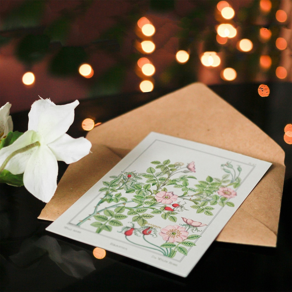 image 1 of Maurice Pillard Verneuil Art Card Wild Rose Flower