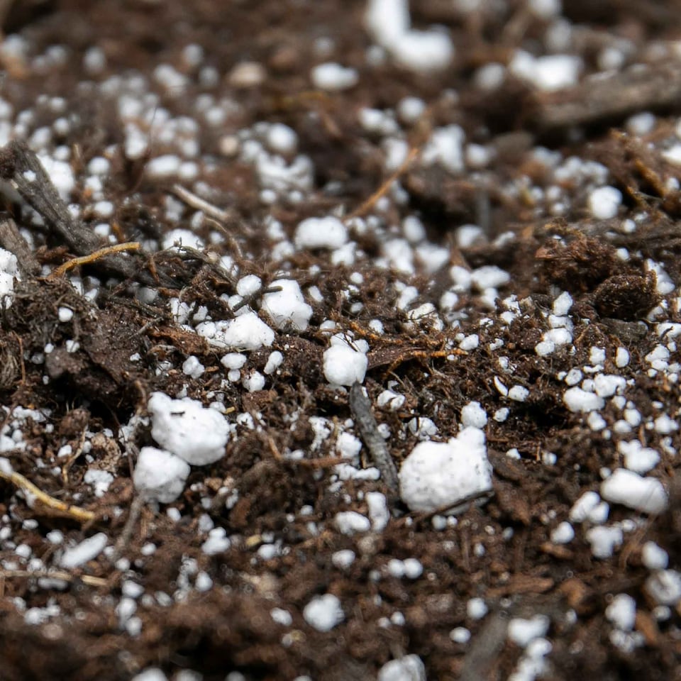 image 1 of Gro-Sure Perlite 2-5mm, 10 Litre Bag