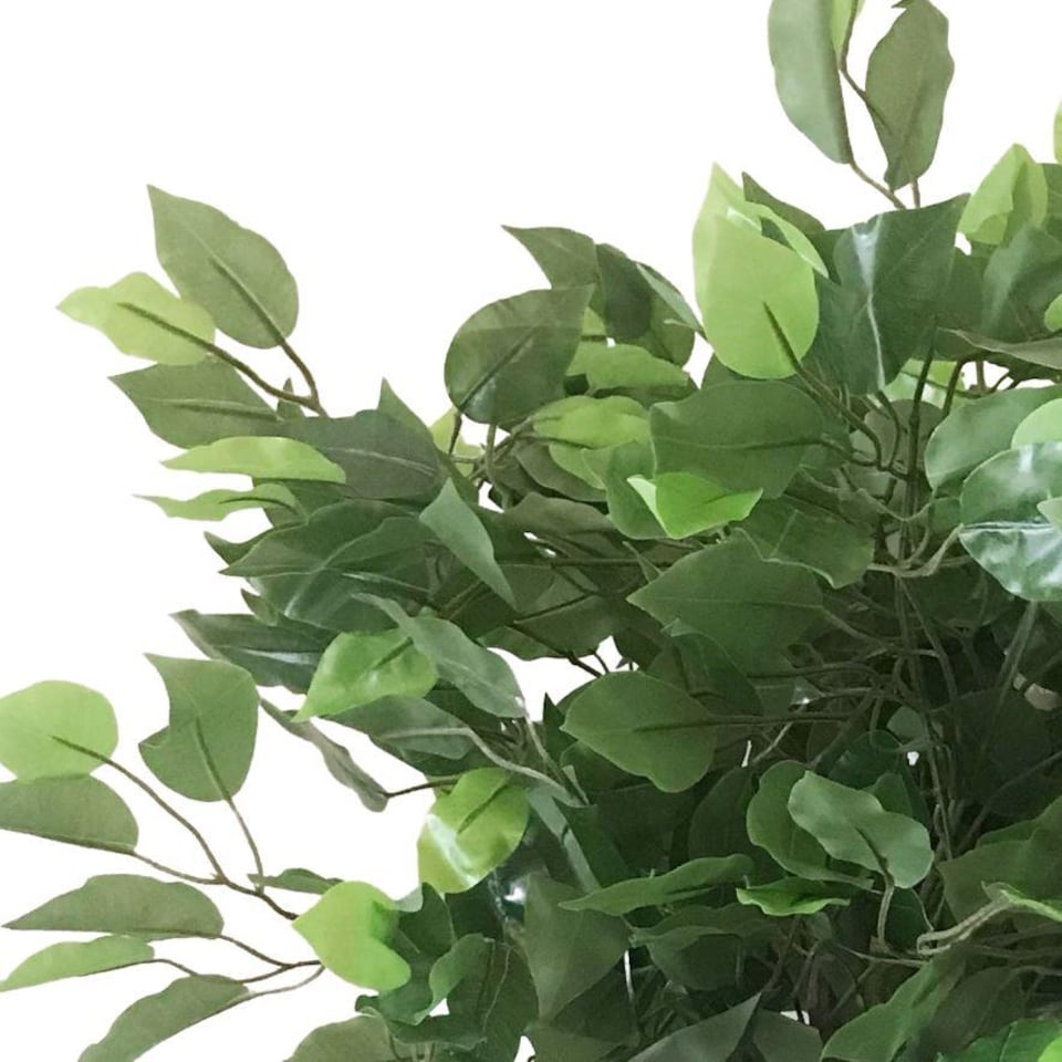 image 1 of 60cm Leaf Realistic Artificial Ficus Tree / Plant | Green | 2ft