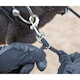 image 3 of Shires Horse Lunging Aid - Black - One Size