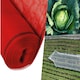 image 3 of Pegdev Red Heavy Duty Plants & Crops Netting 2m x 14m UV Stabilised Mesh