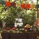 image 4 of Autumnal Leaves Tissue Paper Hanging Garland Decoration 3m