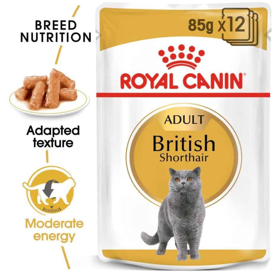 image 1 of Royal Canin British Shorthair Adult Wet Cat Food in Gravy - 24 x 85 g (2 kg) | Multi | 24 x 85g | Turkey | 1