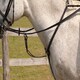 image 2 of Rhinegold Elegance Stitched Breastplate Black | Size: Cob
Colour: Black