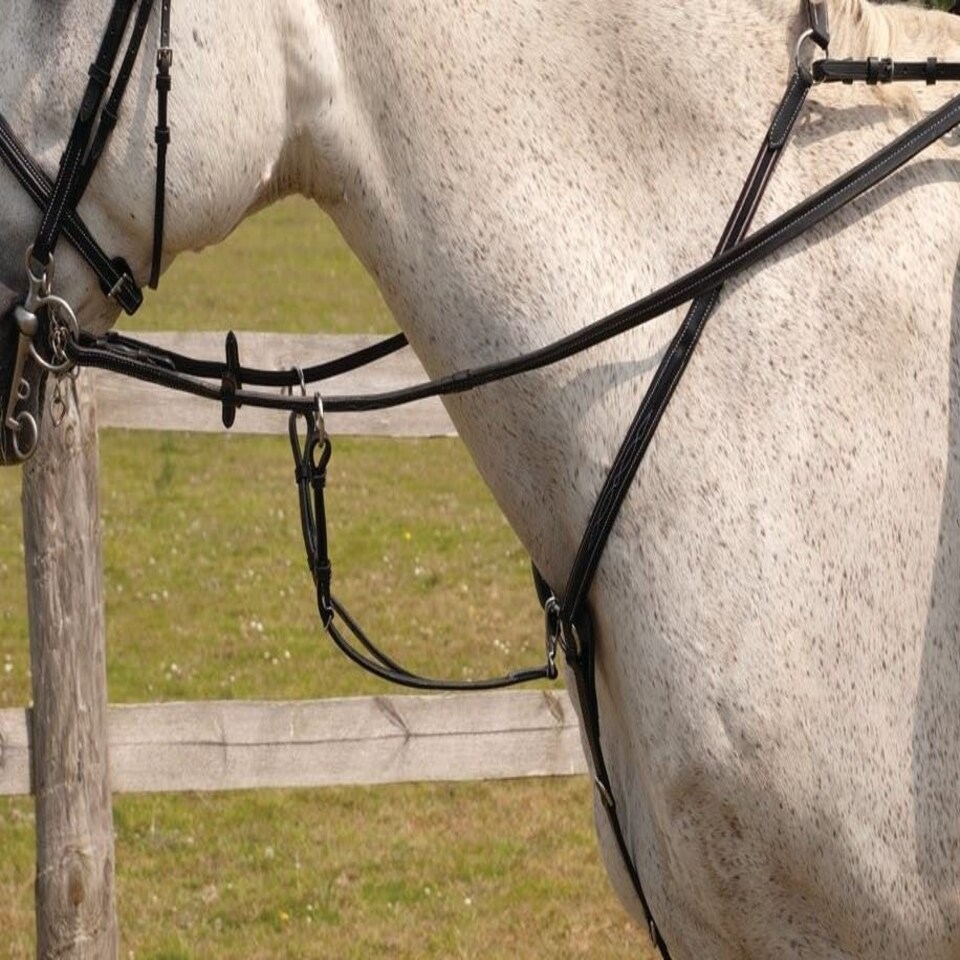 image 1 of Rhinegold Elegance Stitched Breastplate Black | Size: Cob
Colour: Black