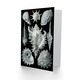 image 2 of Nature Ernst Haeckel Shell Whelk Biology Art Card