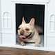 image 9 of PawHut Weather-Resistant Dog House, Puppy Shelter for Medium Dogs - Blue