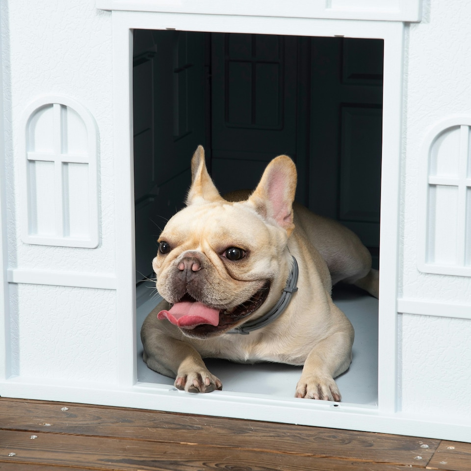 image 1 of PawHut Weather-Resistant Dog House, Puppy Shelter for Medium Dogs - Blue