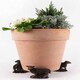 image 3 of Antique Bronze Sheep Plant Pot Feet - Set of 3 | Bronze