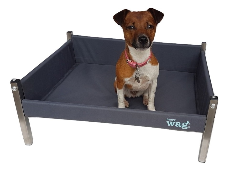 image 1 of Henry Wag Elevated Pet Bed, Provides Comfort and Support For Your Pet, Size Small | Grey | Grey | S