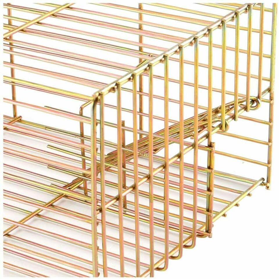 Heavy Duty Live Catch Rat Trap – Reusable Galvanised Steel Humane ...