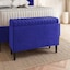 Sapphire Blue Plush Velvet